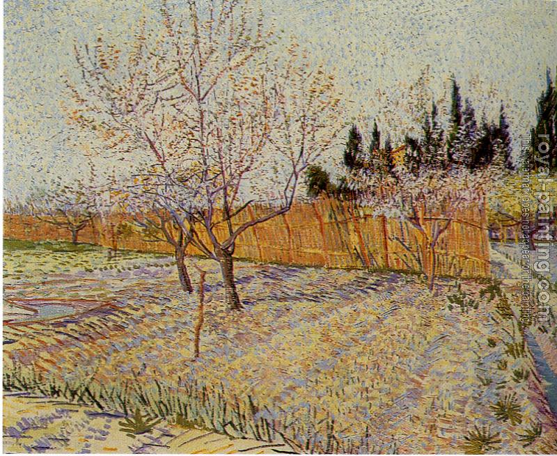 Vincent Van Gogh : Orchard with Cypresses Vincent Van Gogh : Orchard with Cypresses